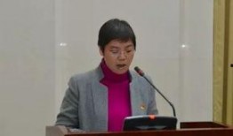 萍乡爆料副主任事件最新,真相发酵，官方调查进展如何？