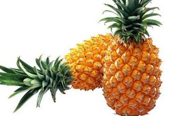 菠萝最新爆料内容,娱乐圈最新动态大曝光！