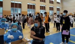 乐山楼市爆料新闻最新消息,揭秘新政策影响及热门项目动态