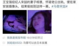 马蓉最新微博爆料,揭秘王宝强离婚内幕，惊人真相曝光！