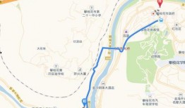 攀枝花西海岸爆料案件最新,真相渐明，疑云散去