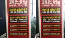 漫展瓜最新事件爆料,神秘事件引发热议，真相即将揭晓！