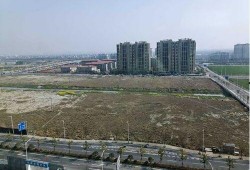 浙江平湖最新爆料,揭秘浙江平湖最新爆料背后的故事