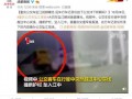 寻找爆料视频大全最新,最新爆料视频大全盘点