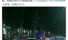 最新唐山爆料事件,事件真相再引热议