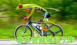 自行车吃瓜最新事件爆料,揭秘网络热议背后的真相与争议